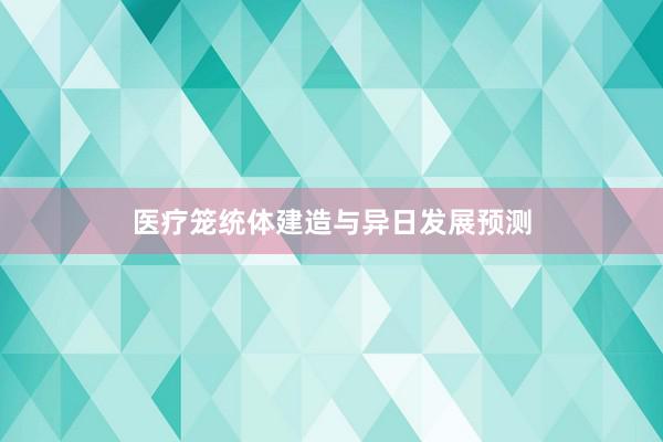 医疗笼统体建造与异日发展预测