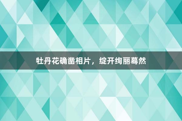 牡丹花确凿相片，绽开绚丽蓦然