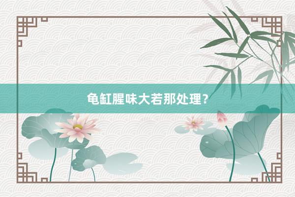 龟缸腥味大若那处理？