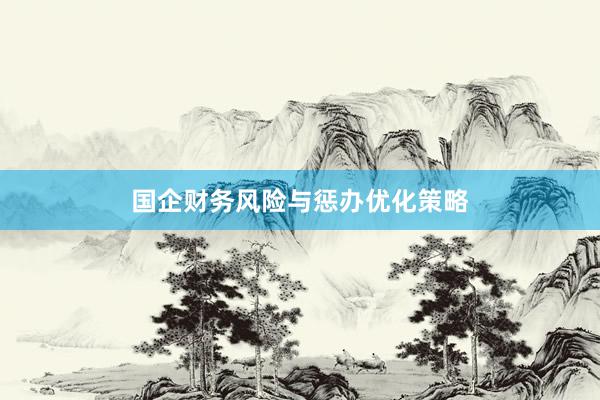 国企财务风险与惩办优化策略